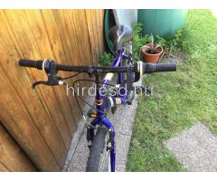 Mountain bike 24” - Kép 4